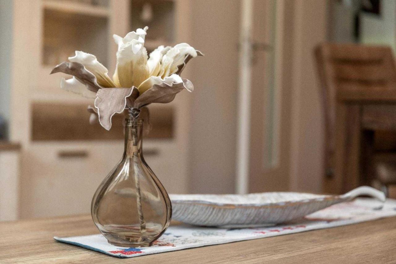 Zirkow Ferienwohnung Kornblume מראה חיצוני תמונה